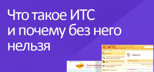 Информационно-технологическое сопровождение программ 