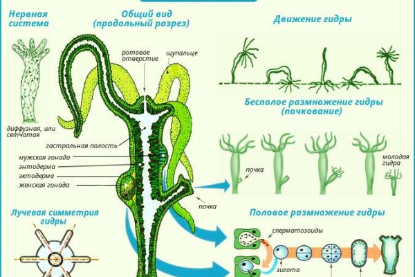 Кракен даркнет kraken014 com